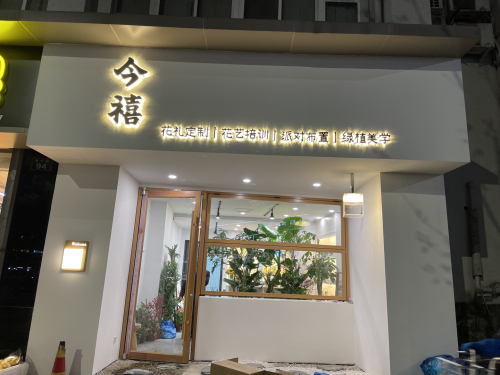 今禧花店 封面